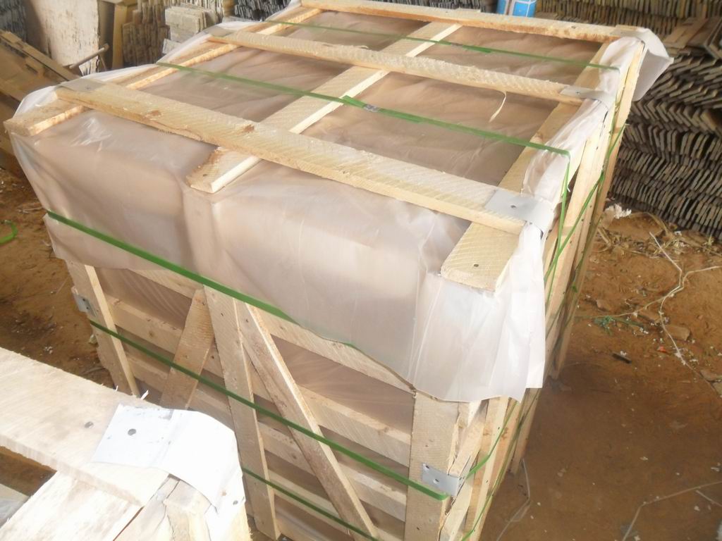 调整大小 SAM_3711.JPG